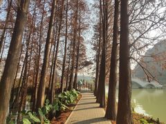 -星湖旅游景区七星岩