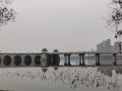 -武汉动物园