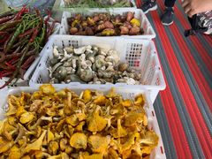 -双喜农庄·菌香园(安居家园店)