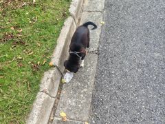 -方山风景区定林寺