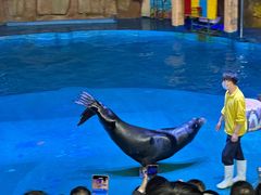 -烟台海昌鲸鲨海洋公园