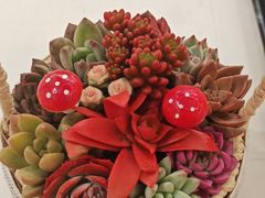 -申阿婆·上海菜(新桥店)