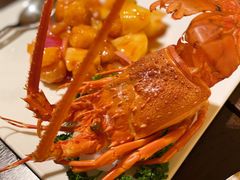 -采悦轩中餐厅·粤菜·海南菜(神州半岛喜来登度假酒店)
