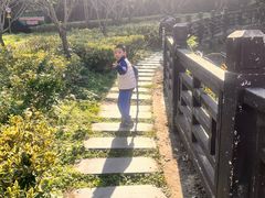 -青龙山国家森林公园
