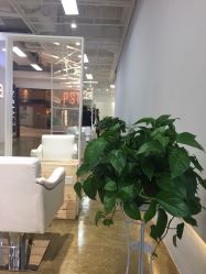 点击看大图 -P.STYLE派斯造型