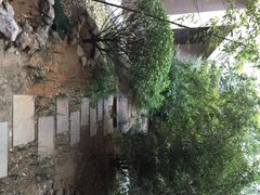 iphone_upload_pic-山东大厦