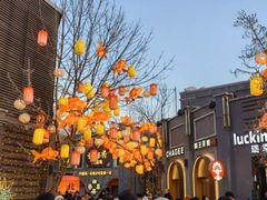 -龙湖星悦荟(颐和店)