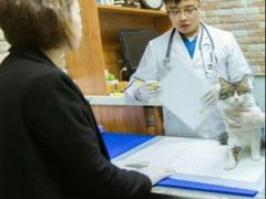 -纳吉亚猫专科动物医院博雅分院