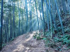 -莫干山风景区