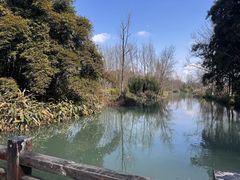 -桤木河湿地公园