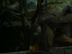 -泉城欧乐堡海洋极地世界