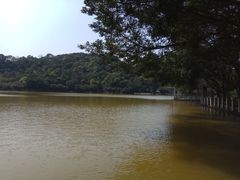 -西樵山风景名胜区-天湖公园