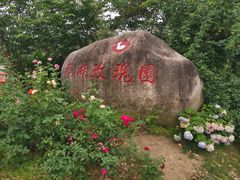 -鹅湖玫瑰文化园