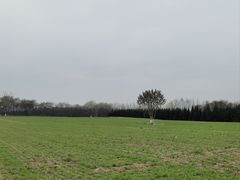 -汉长安城未央宫国家考古遗址公园