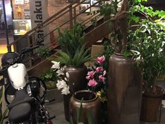-猫屎咖啡(陶溪川店)