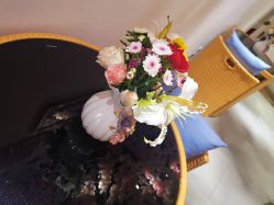 -静待花开瑜伽尊巴会馆