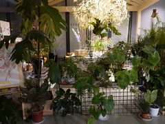 -GOTLOT COFFEE&KITCHEN角落厨房NOOK店