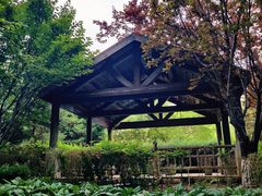 -春晖园度假酒店温泉