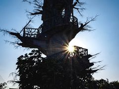 -芒洲湿地公园