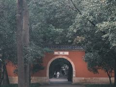 -灵谷景区