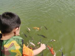 -郑州方特梦幻王国