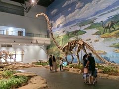 -自贡恐龙博物馆