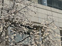 -求雨山文化公园