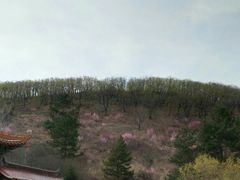 -连池鱼豆味坊(风景区店)