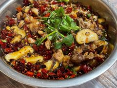 -食神又名厕所兔