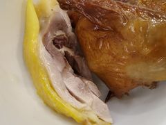 -渔鸽皇酒楼(鸿大广场店)