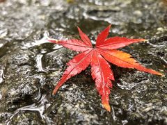-浙江医院(灵隐院区)