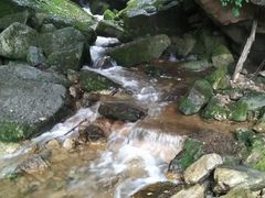 -陕西省红河谷森林公园