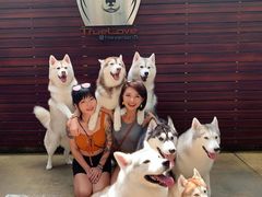 -TrueLove @ Neverland (Husky Cafe)