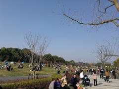 -昆山城市生态森林公园