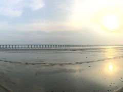 -宝安西湾红树林湿地公园