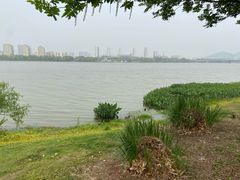 -漩门湾国家湿地公园