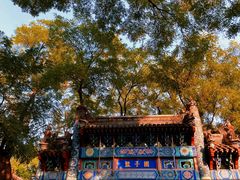 -北京国子监胡同