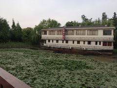 -苏州太湖国家湿地公园