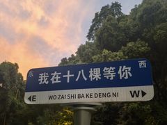 -十八棵（老龙井）御茶园(老龙井店)