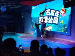 -石家庄海洋公园