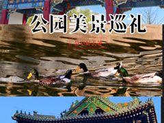 -迎泽公园