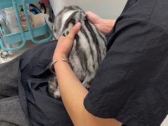 -FAELING PETS美天灵宠物(合生汇店)