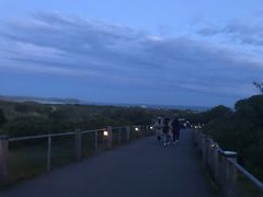 -企鹅岛