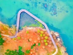 -贡湖湾湿地公园