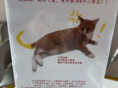 -Best U照相馆证件照·外拍(五角场店)