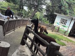 -昆明动物园