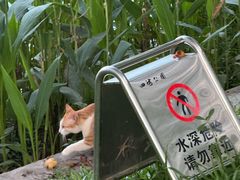-四海公园(南山区)
