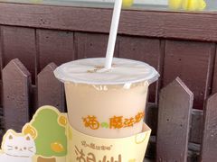 -猫的魔法密林(衣裳街店)
