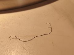 -李姑婆鲜切牛肉火锅自助(凤城二路店)