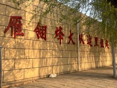 -白洋淀景区